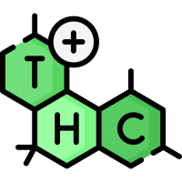 Cannabisfrön med Hög THC-halt (+21%)