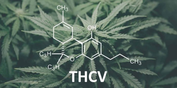Vad är THCV och hur skiljer det sig från THC?